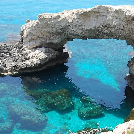 Levanda No 52 Protaras